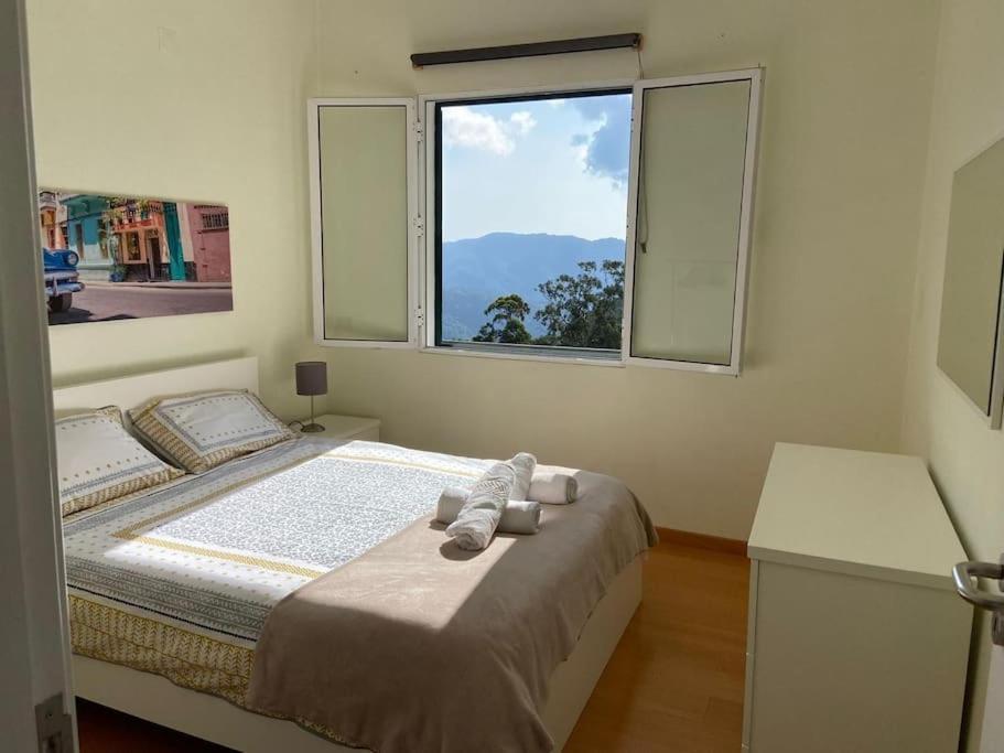The Hideaway Retreat Villa Santo Antonio da Serra Buitenkant foto